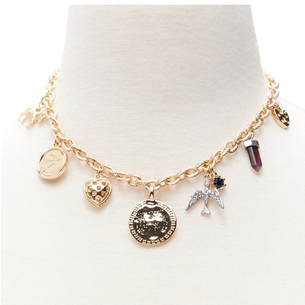 Charm Necklace NWT